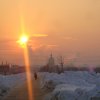 Дипломы
